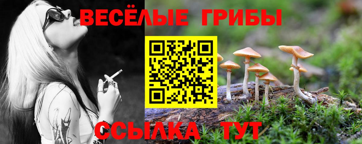 Нефтекамск  магазин продажи наркотиков  Вход с VPN  Галлюциногенные грибы Psilocybe 